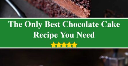 Best Chocolate Cake Recipe | My Baking Addiction