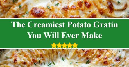 Potato Gratin